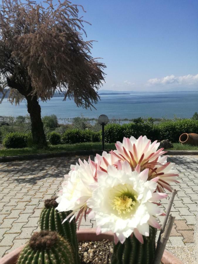 B&B Torre Del Lago Trasimeno Passignano sul Trasimeno Eksteriør bilde